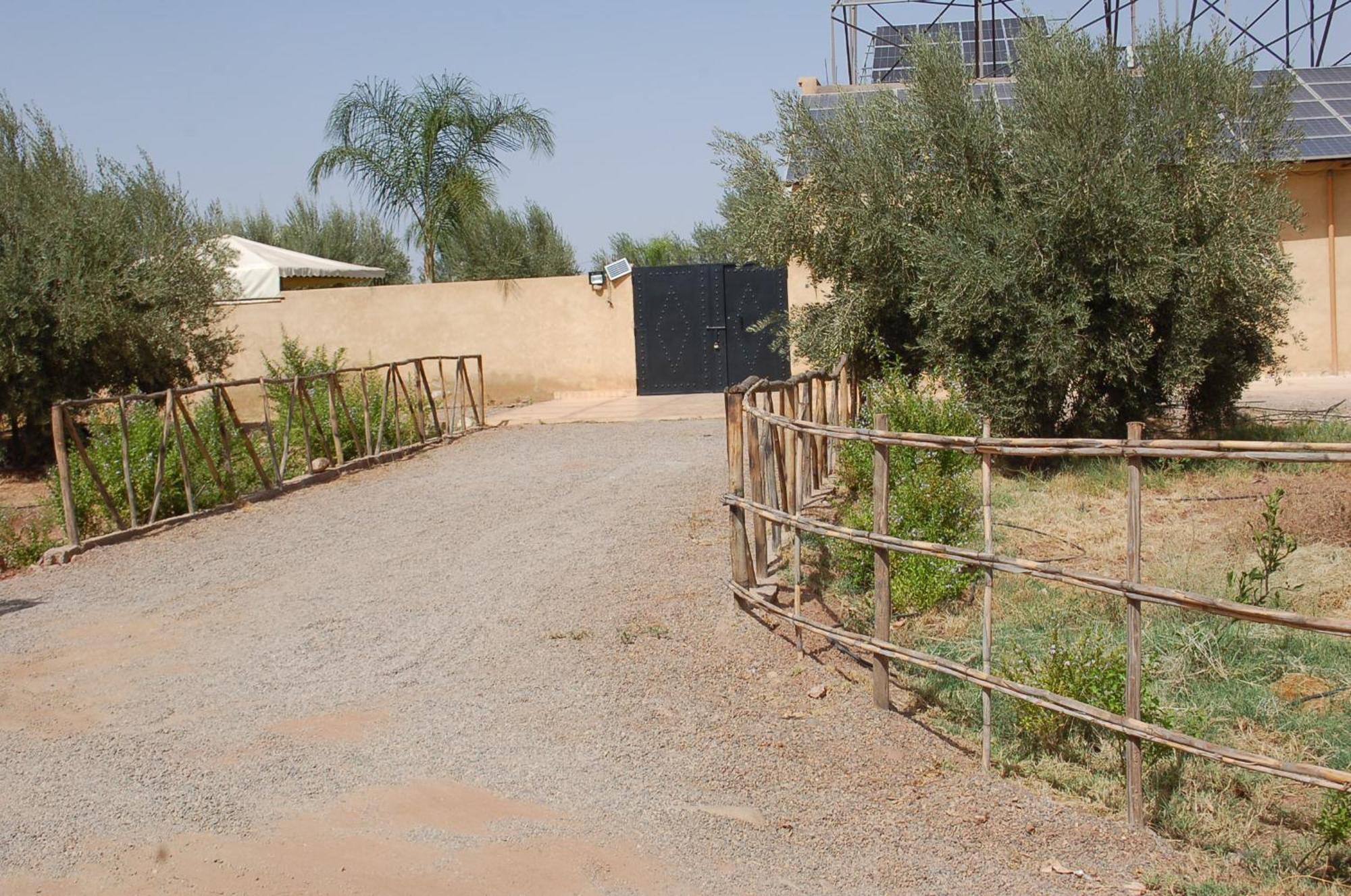 Villa Baraka Marrakesh Eksteriør billede